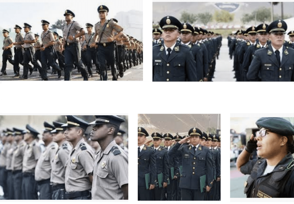 que Requisitos se necesitan para Asimilarse a la PNP